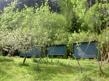 Bienenhütten